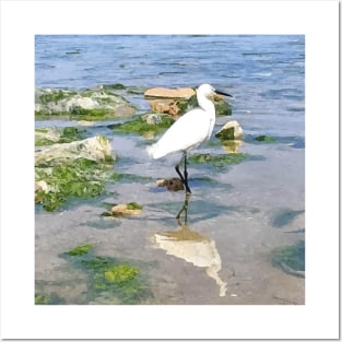 A Heron on the beach 2 Posters and Art